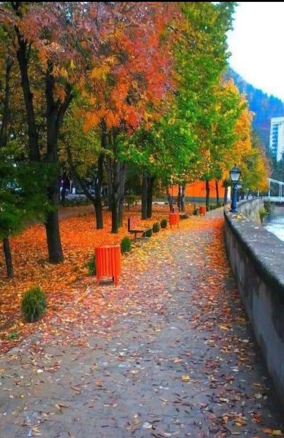 Gamsakhurdia Street Bordjomi Extérieur photo