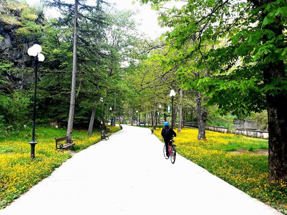 Gamsakhurdia Street Bordjomi Extérieur photo